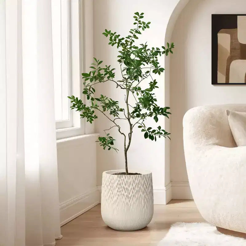 Jardinière ronde antique blanc cassé, texture dégradée foncée à claire, design conique