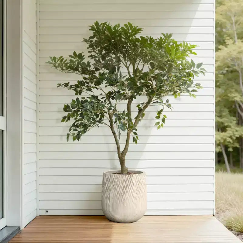 Jardinière ronde antique blanc cassé, texture dégradée foncée à claire, design conique