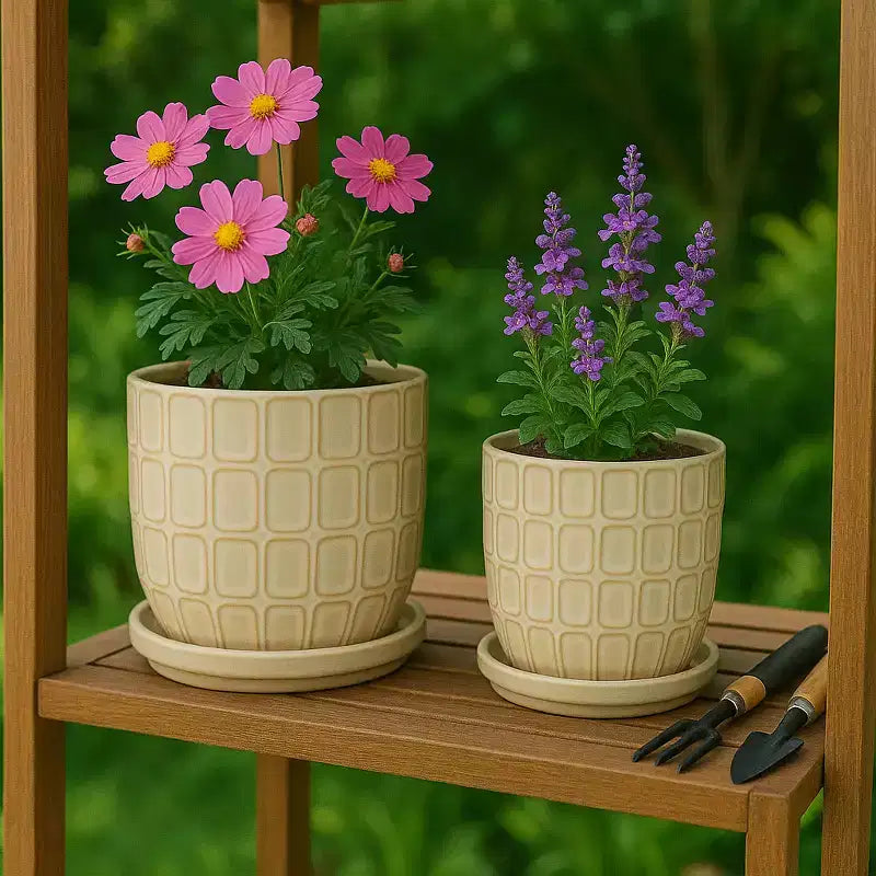 Jardinière décorative à motif squoval avec soucoupe – Pots de fleurs pour intérieur et extérieur, 7, 6, ivoire