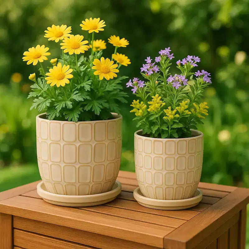 Jardinière décorative à motif squoval avec soucoupe – Pots de fleurs pour intérieur et extérieur, 7, 6, ivoire