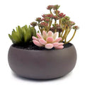 K-Cliffs 6.7 Round Unglazed Ceramic Planter Pots with Sophisticated Matte Brown Finish Pot Only For Indoor Succulent Flower Decor