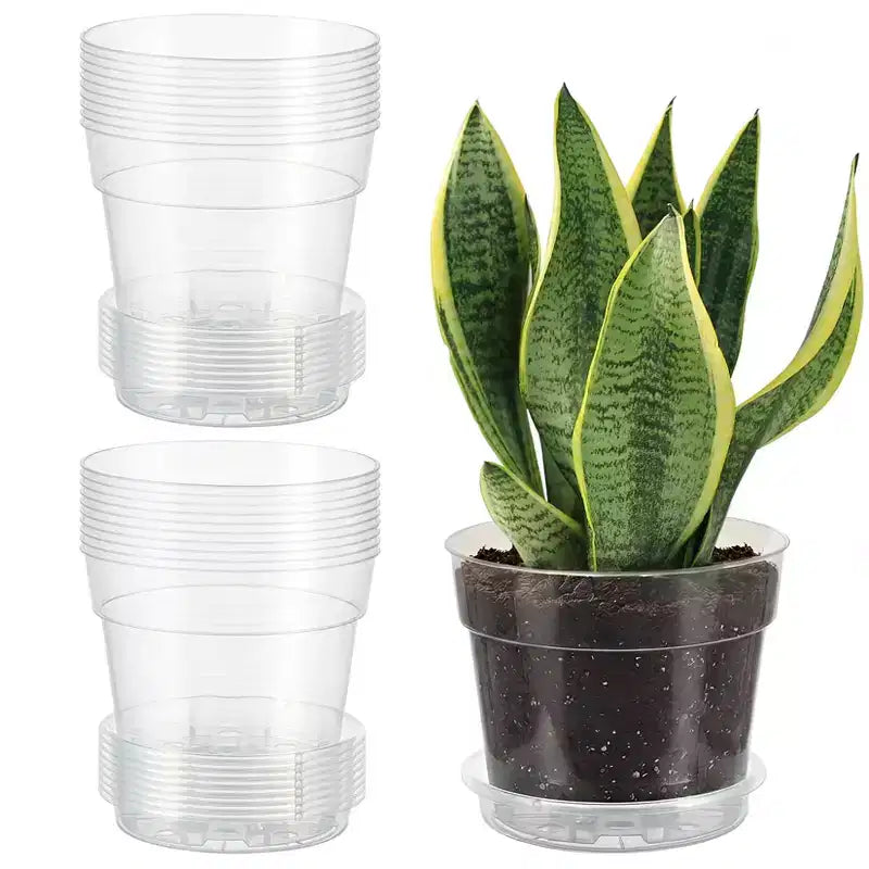 20-Pack Clear Nursery Pots for Plants with Saucers and Drainage Holes, High Transparency Plastic Flower Pots, Ideal for Indoor & Outdoor Gardening
