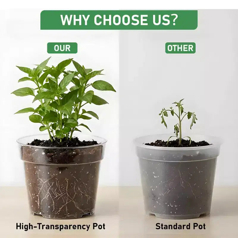 Pots de pépinière transparents pour plantes avec soucoupes et trous de drainage, pots de fleurs en plastique très transparents, idéaux pour le jardinage intérieur et extérieur
