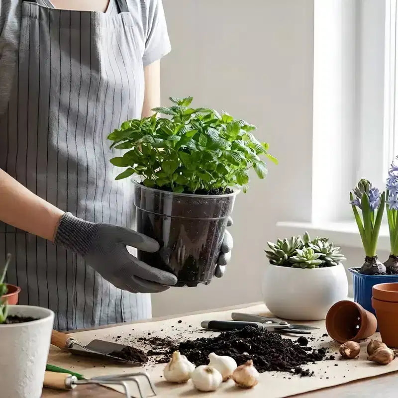 Pots de pépinière transparents pour plantes avec soucoupes et trous de drainage, pots de fleurs en plastique très transparents, idéaux pour le jardinage intérieur et extérieur