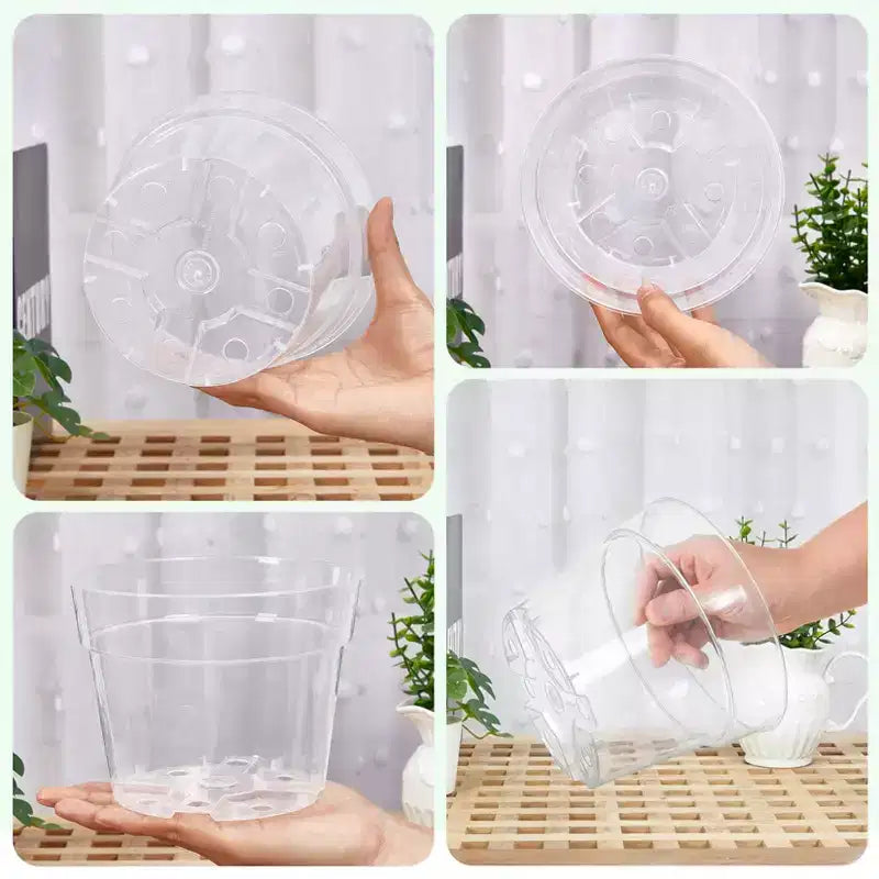 Pots de pépinière transparents pour plantes avec soucoupes et trous de drainage, pots de fleurs en plastique très transparents, idéaux pour le jardinage intérieur et extérieur