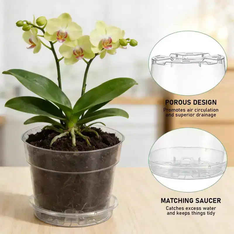 Pots de pépinière transparents pour plantes avec soucoupes et trous de drainage, pots de fleurs en plastique très transparents, idéaux pour le jardinage intérieur et extérieur