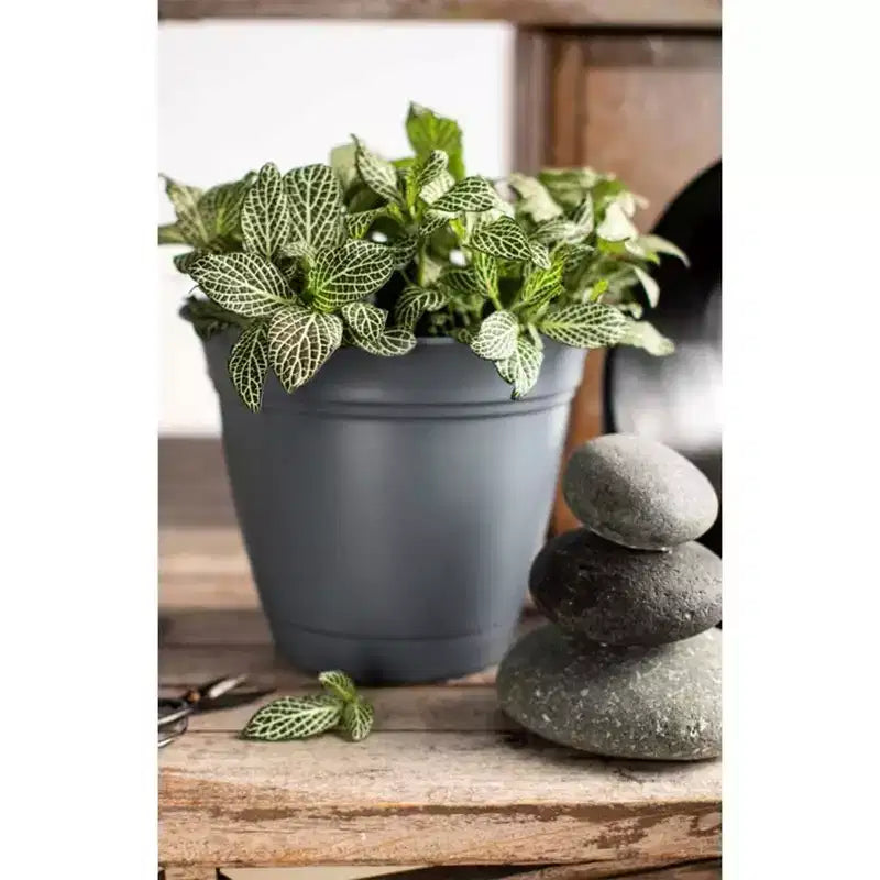 Pot de fleurs rond classique de 30 cm avec soucoupe intégrée pour plantes d'intérieur et d'extérieur, pour fleurs, légumes et plantes grasses, gris chaud