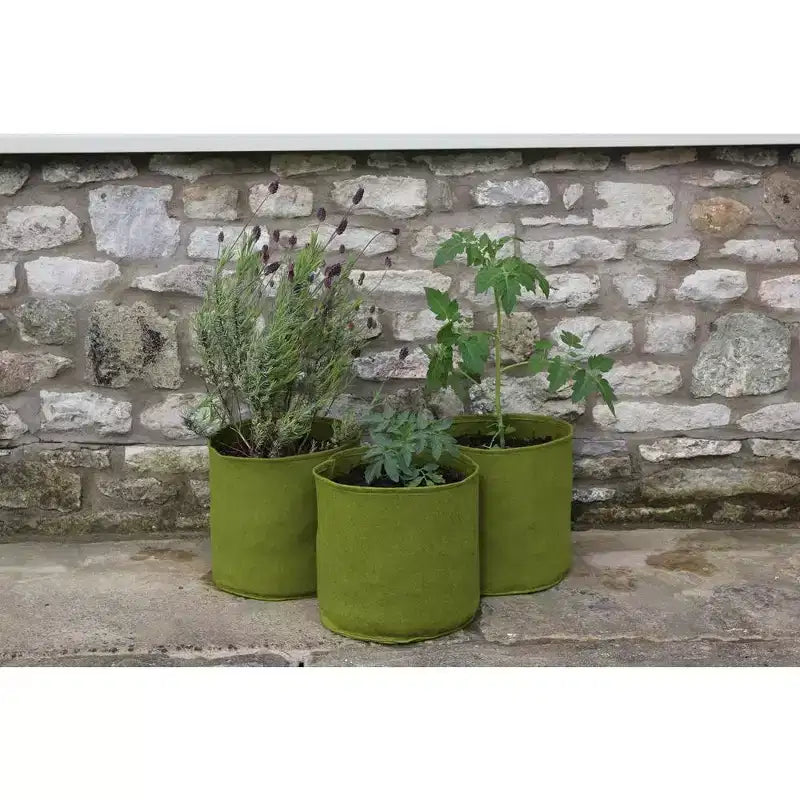 Pot de fleur vert