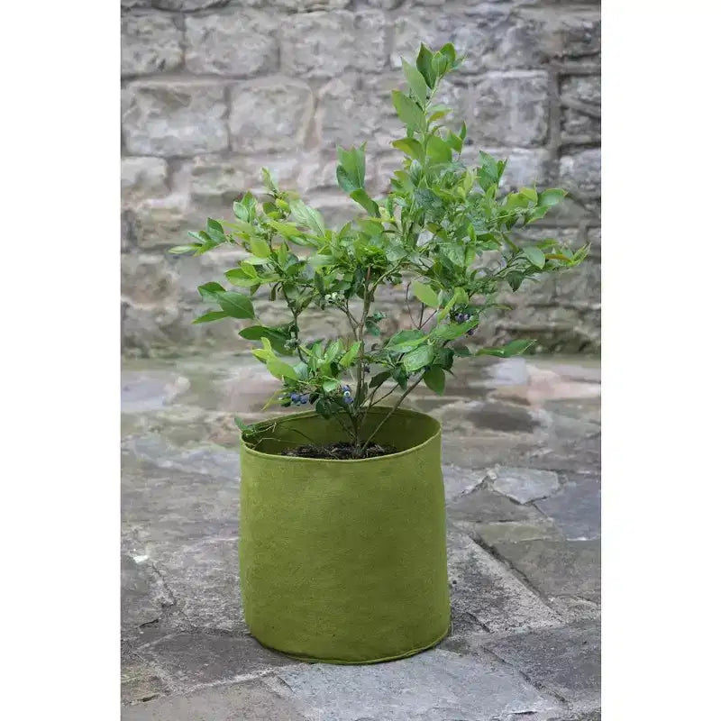 Pot de fleur vert