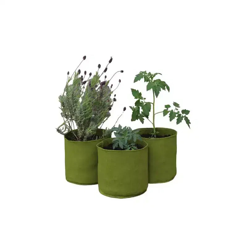 Pot de fleur vert